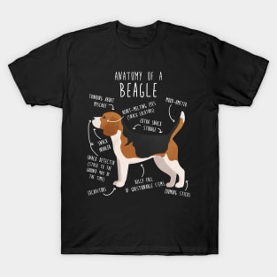 Beagle Dog Anatomy T-Shirt